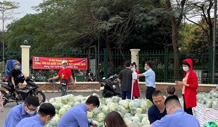 Hoạt động thiện nguyện của Công đoàn và Chi đoàn Viện KSND quận Cầu...